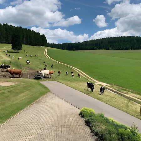 Beierleshof Appartamento Eisenbach (Breisgau-Hochschwarzwald)