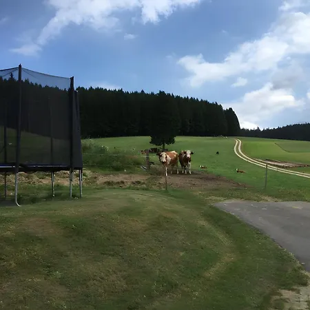 Beierleshof Appartamento *