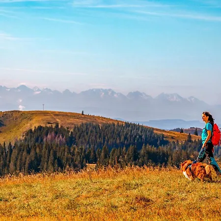 Beierleshof Appartamento