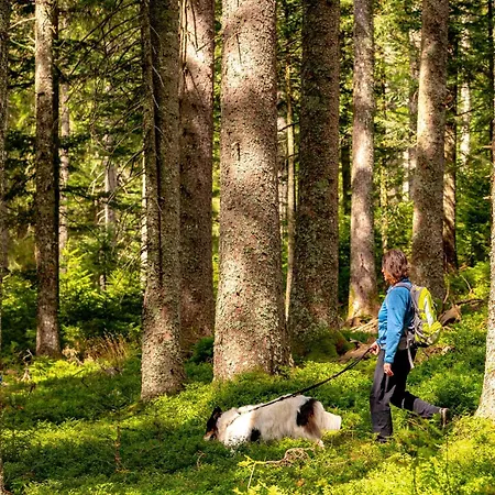 Beierleshof * Eisenbach (Breisgau-Hochschwarzwald)